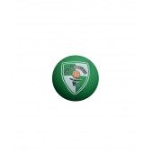 SPALDING SPALDEEN BC ŽALGIRIS (Diameter 6cm)